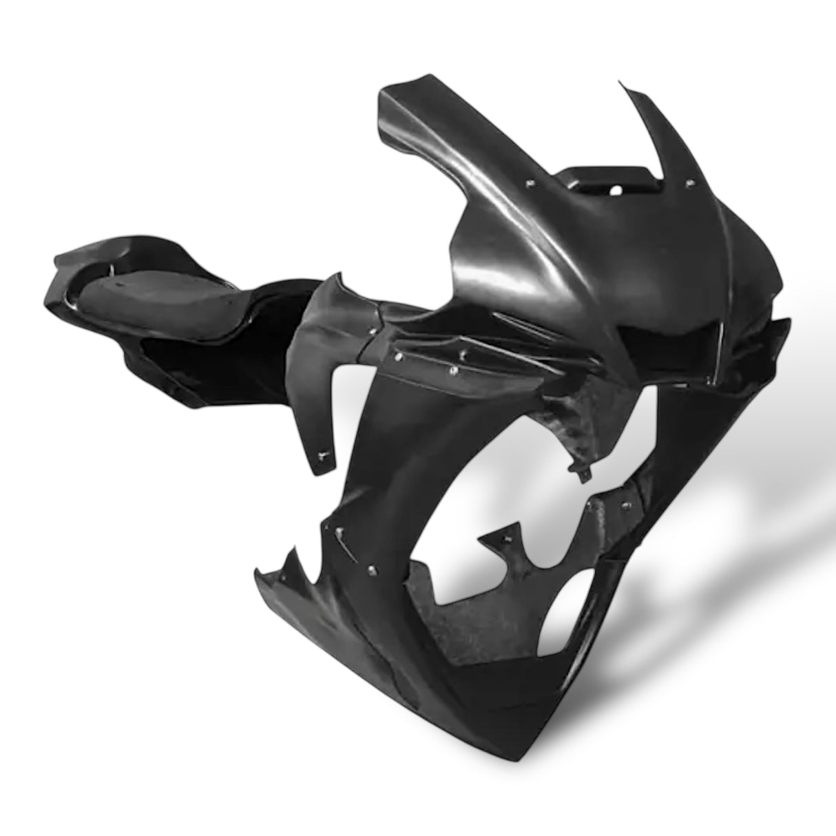 Racing fairing carbon BMW S1000RR M1000RR 2019-2024