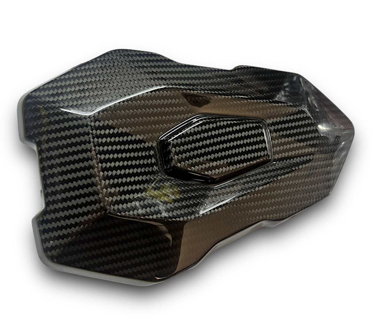 Pillion Cover / Tail Fairing Carbon BMW S1000R M1000R 2021+