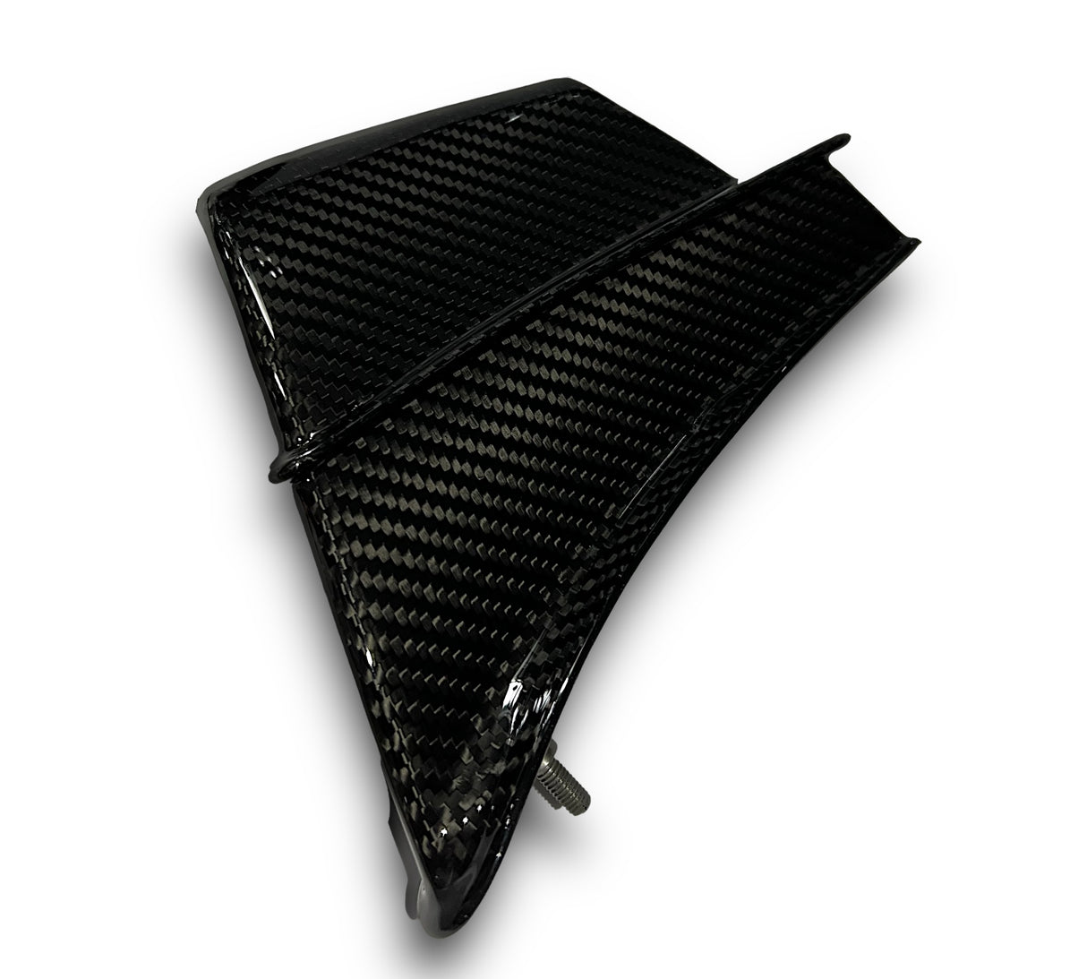 Winglets Carbon Ducati Panigale V4 2019-2020 l+r Set