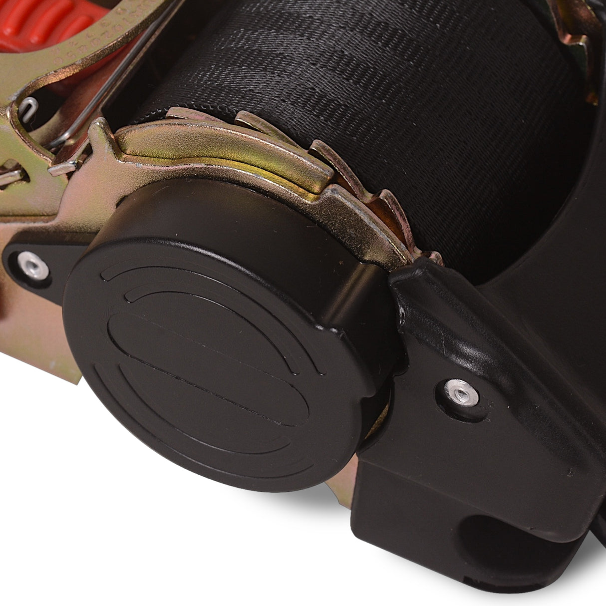 Automatik Spanngurte mit Ratsche 300cm 2 Stück