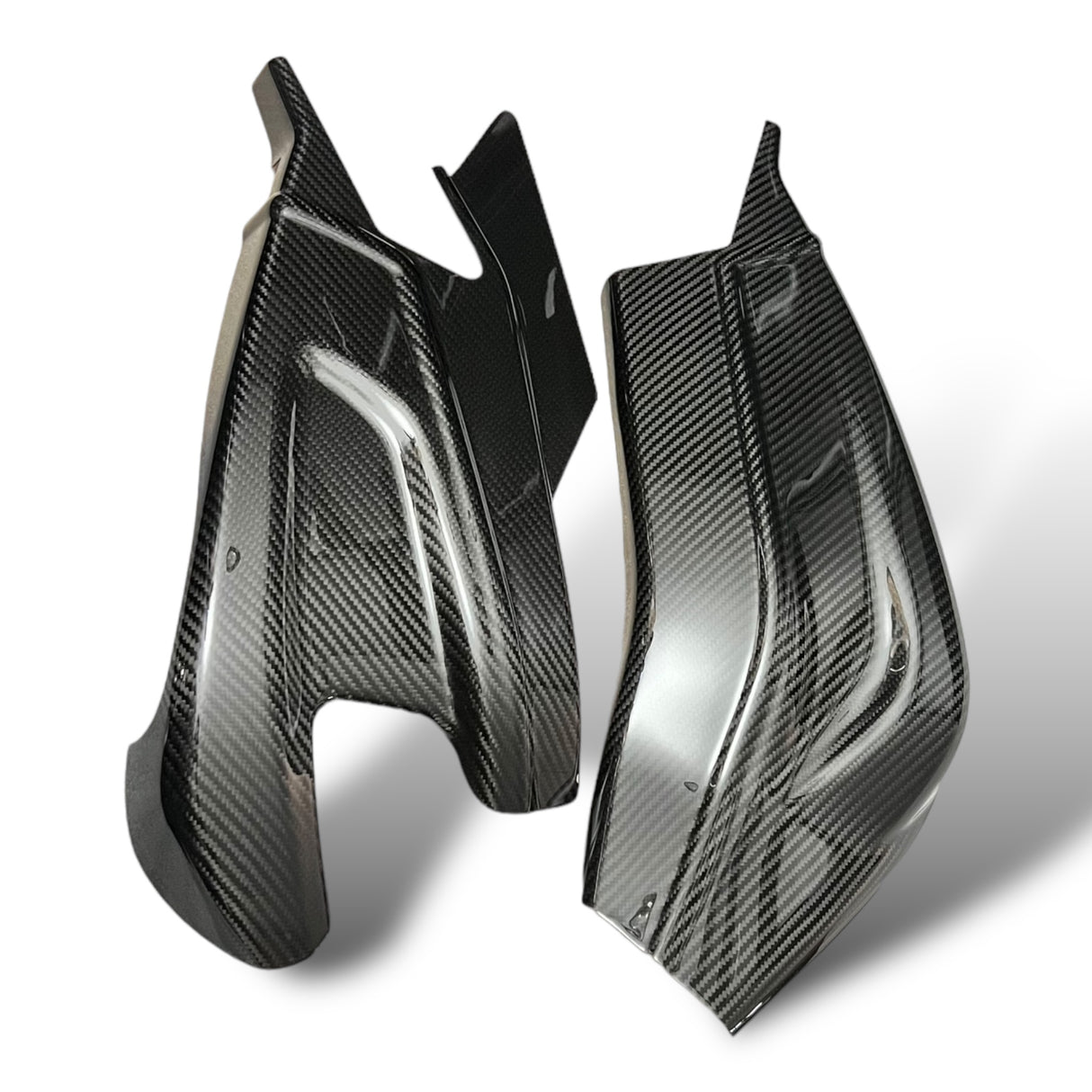 Schwingenschutz Schwingenschoner Carbon BMW S1000RR / S1000R Racing