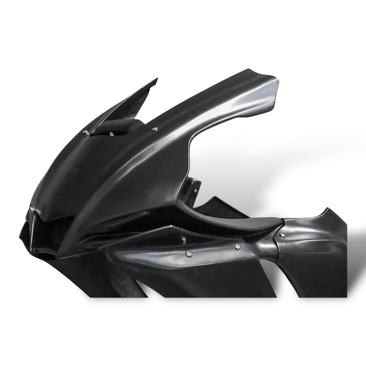 Racing fairing carbon BMW S1000RR M1000RR 2019-2024