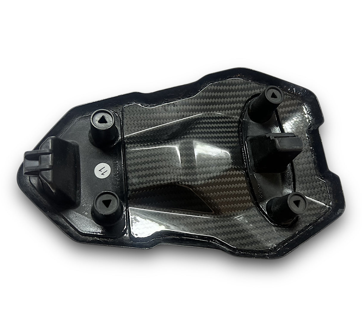 Pillion Cover / Tail Fairing Carbon BMW S1000R M1000R 2021+