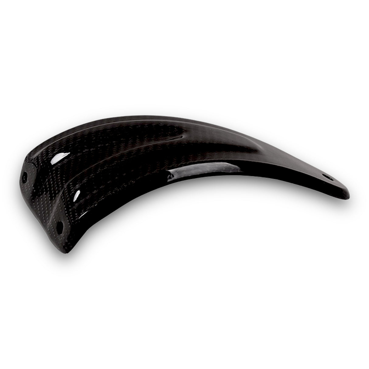 Auspuffhalter Carbon Aprilia RSV4 Tuono 2015-2020 Akrapovic