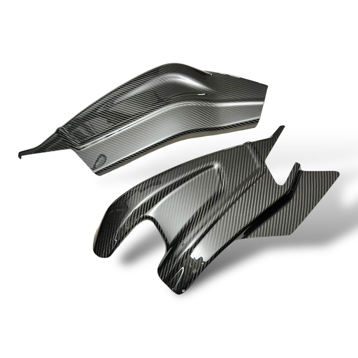 Schwingenschutz Schwingenschoner Carbon BMW S1000RR / S1000R Racing