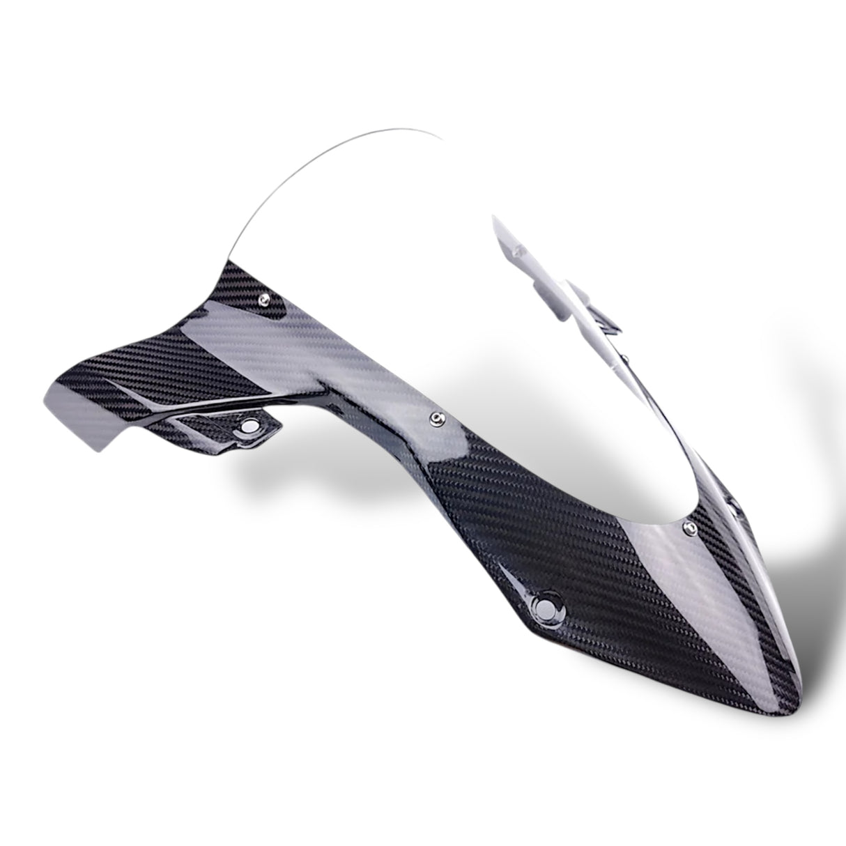 Verkleidungsscheibe Windschild Carbon BMW S1000RR M1000RR 2019+