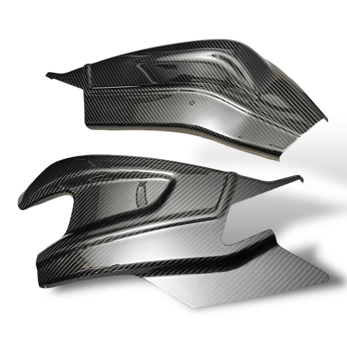 Schwingenschutz Schwingenschoner Carbon BMW S1000RR / S1000R Racing