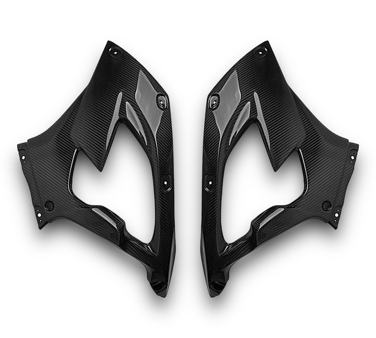 Side panel carbon BMW S1000RR M1000RR 2019-2022 Racing