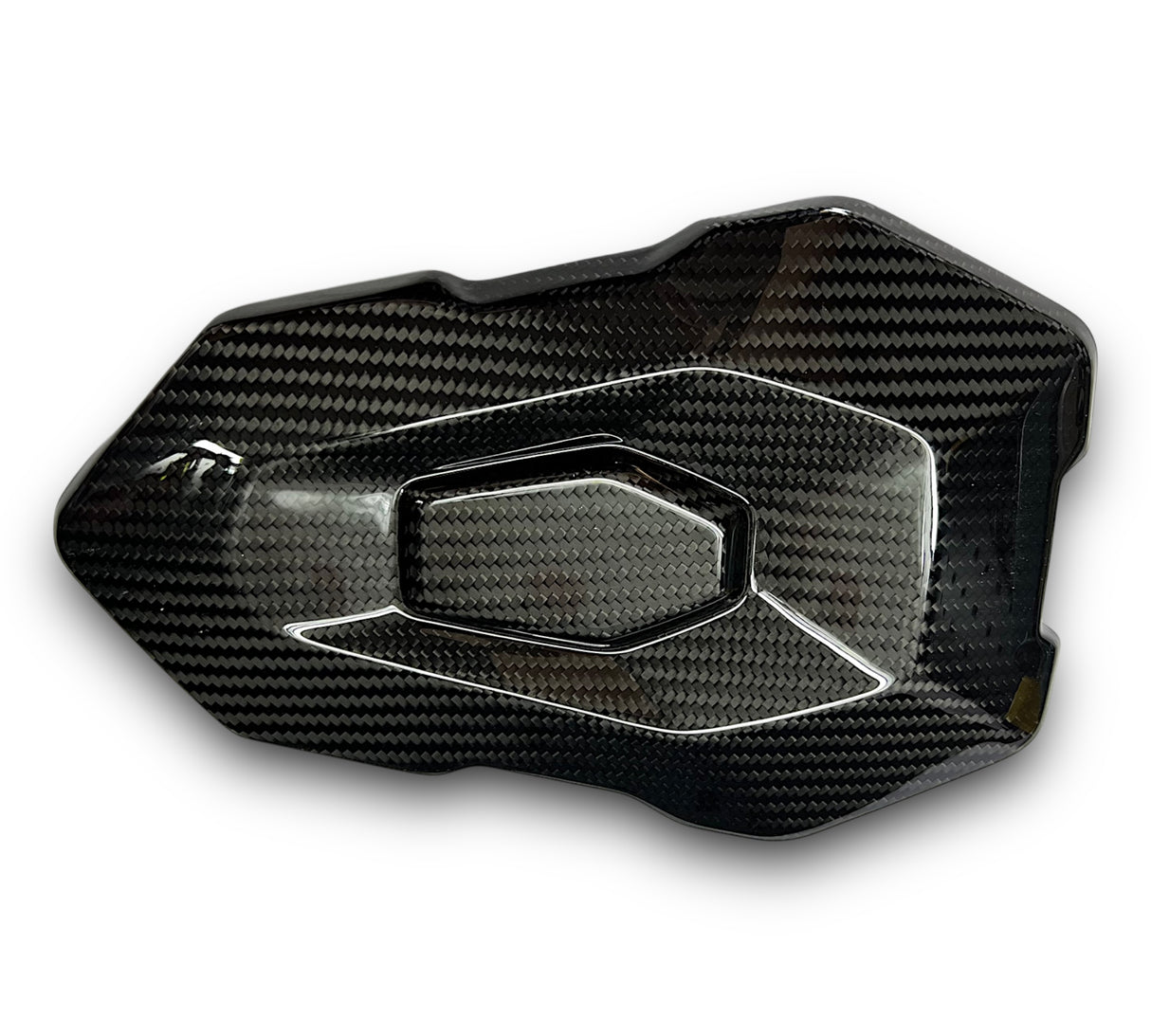 Pillion Cover / Tail Fairing Carbon BMW S1000R M1000R 2021+