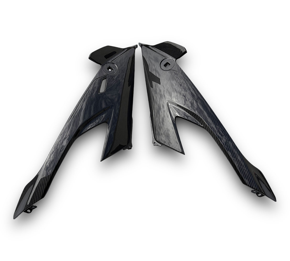 Side panel carbon BMW S1000RR M1000RR 2019-2022 K67 pair