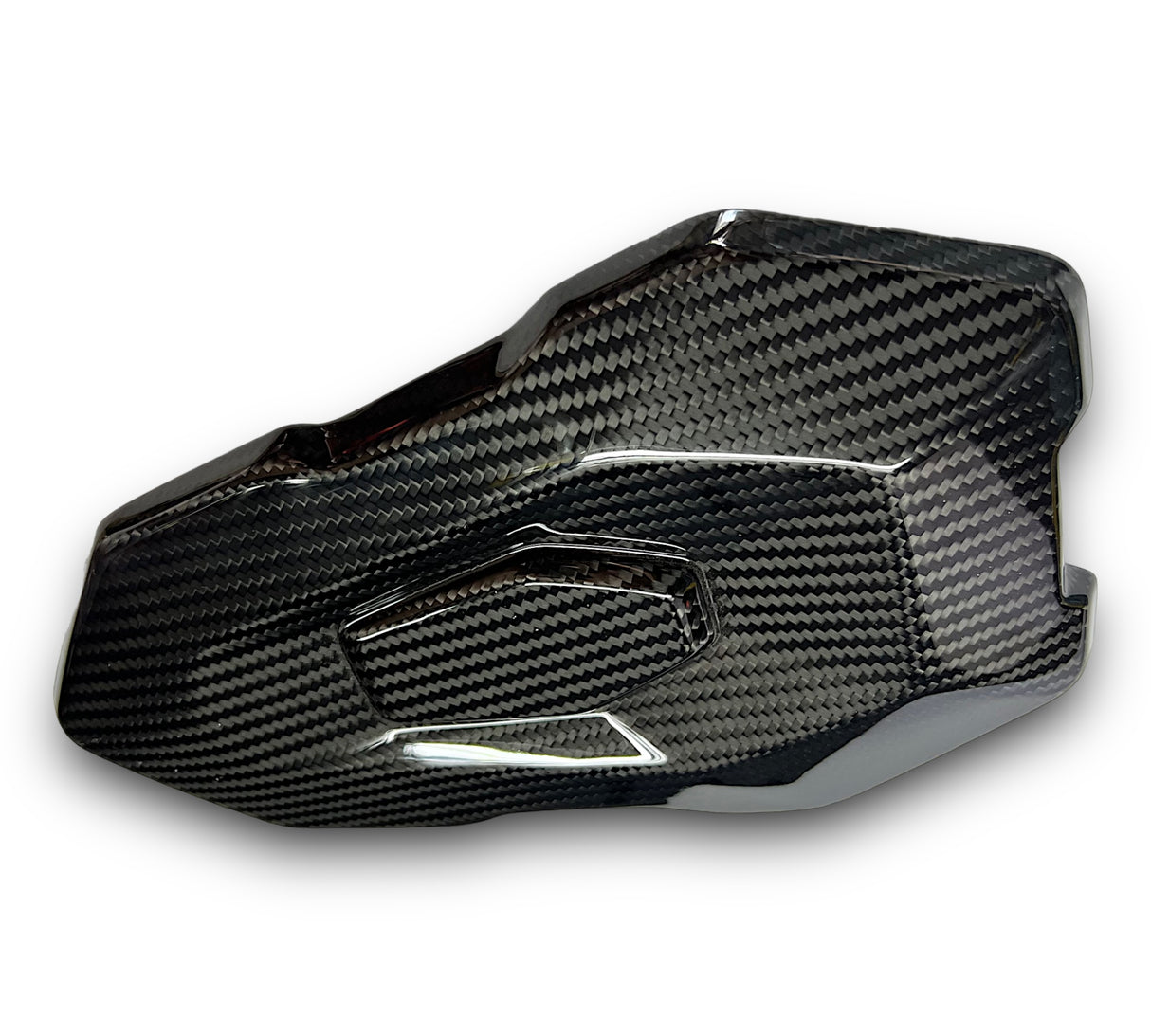 Pillion Cover / Tail Fairing Carbon BMW S1000R M1000R 2021+