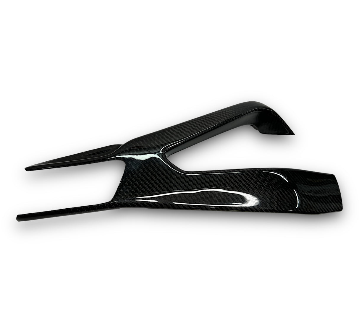 Swingarm protector Carbon BMW S1000RR M1000RR 2019-2024 / BMW S1000R 2021-2024