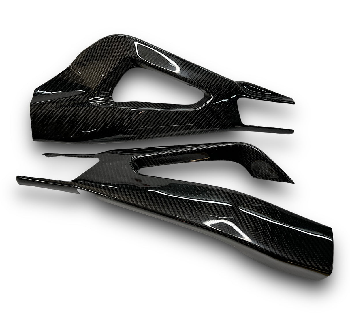 Swingarm protector Carbon BMW S1000RR M1000RR 2019-2024 / BMW S1000R 2021-2024