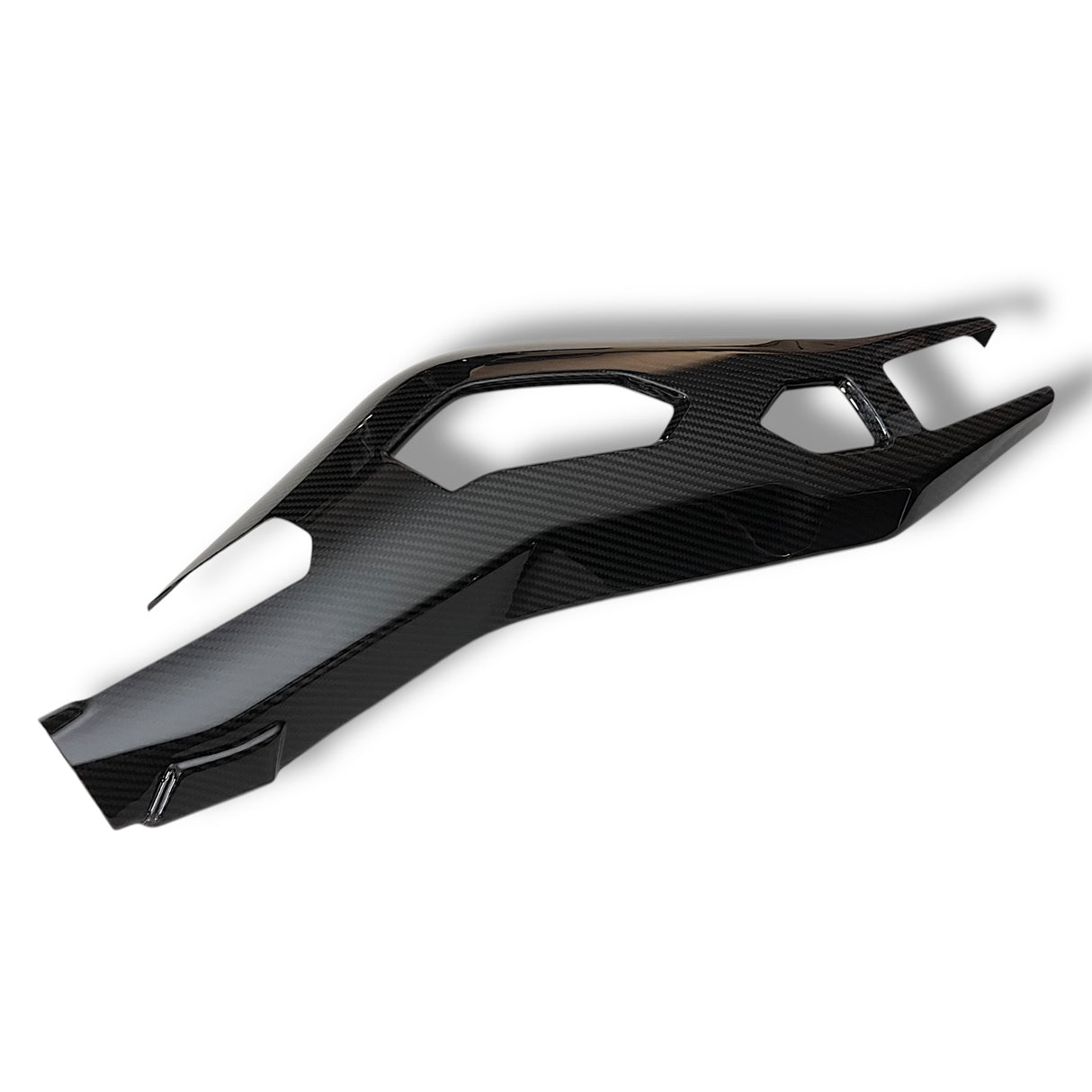 Swingarm protector Carbon BMW S1000RR M1000RR 2019-2024 / BMW S1000R 2021-2024