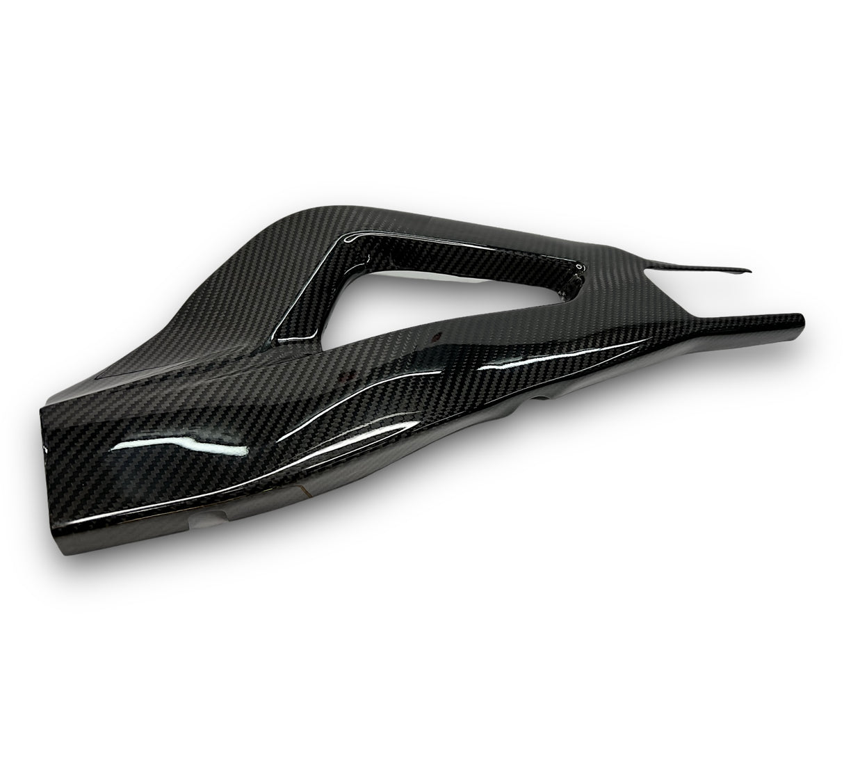 Swingarm protector Carbon BMW S1000RR M1000RR 2019-2024 / BMW S1000R 2021-2024