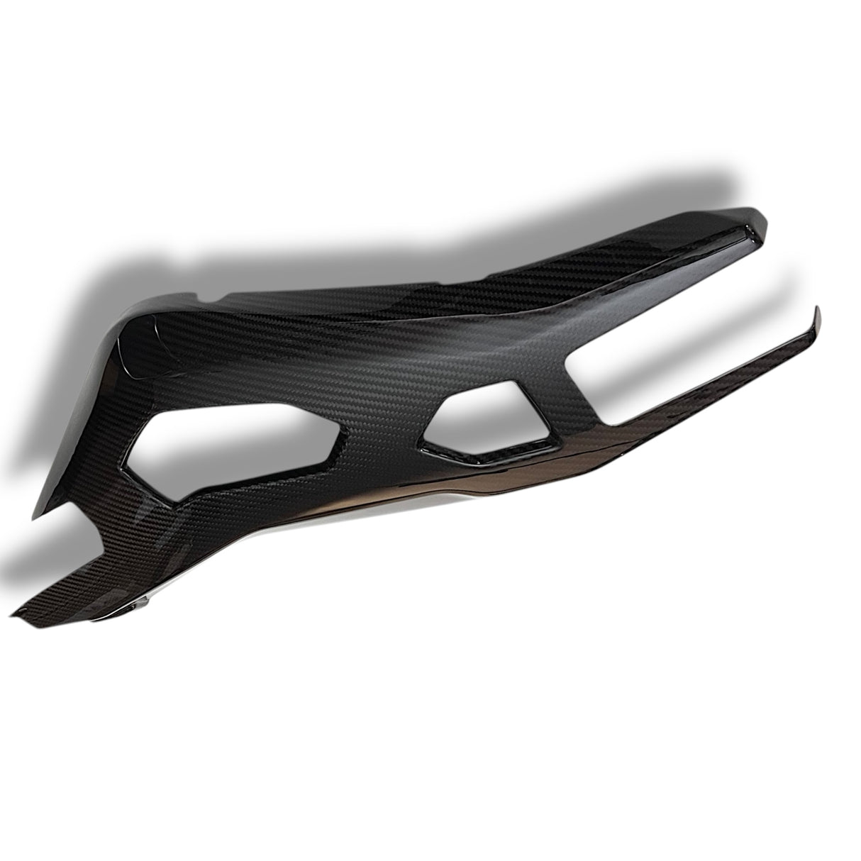 Swingarm protector Carbon BMW S1000RR M1000RR 2019-2024 / BMW S1000R 2021-2024