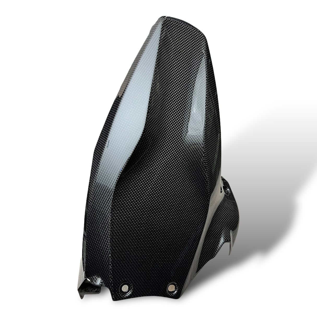 Hinterradabdeckung Carbon Ducati Panigale V2 1199 1299 Streetfighter V2