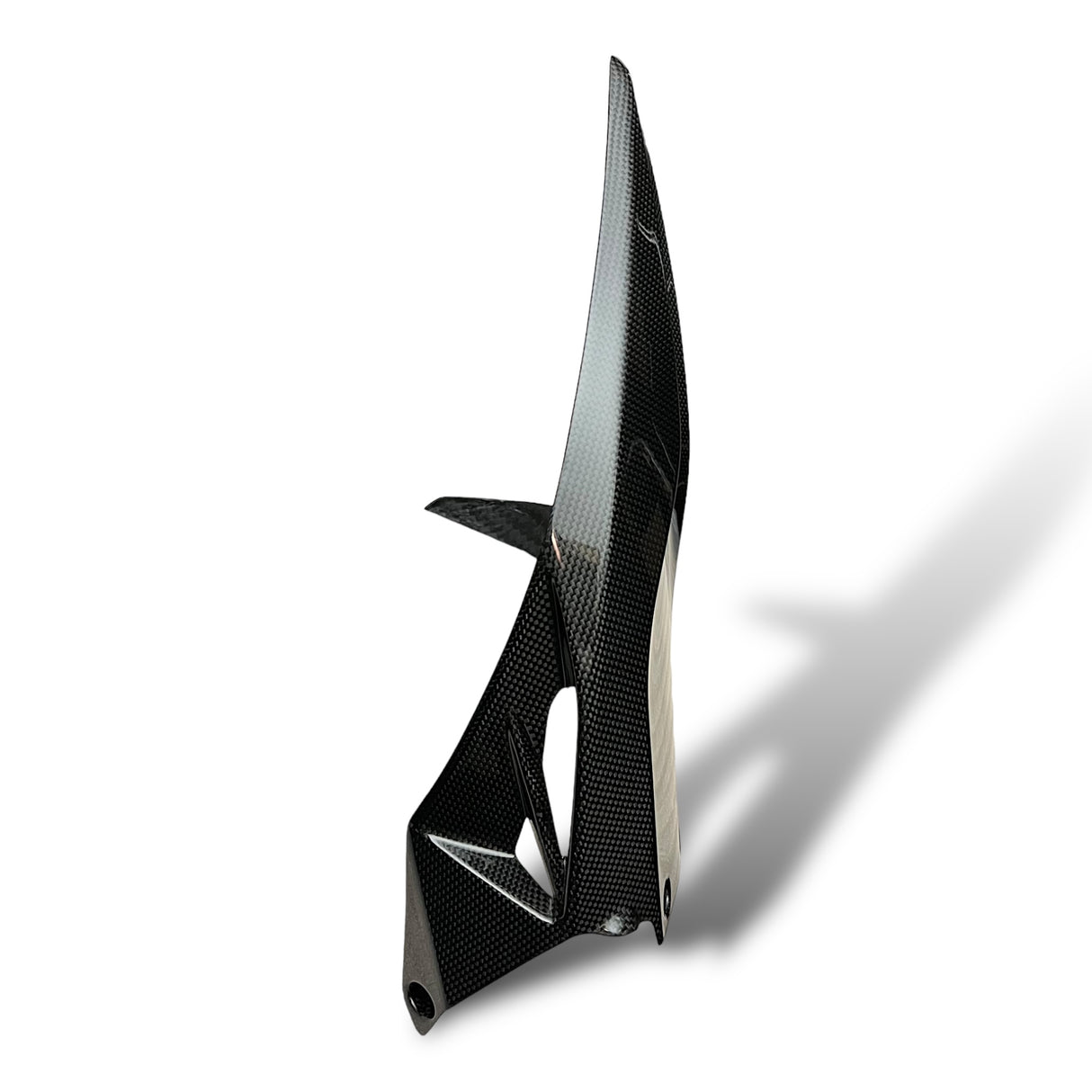 Hinterradabdeckung Carbon Ducati Panigale V2 1199 1299 Streetfighter V2