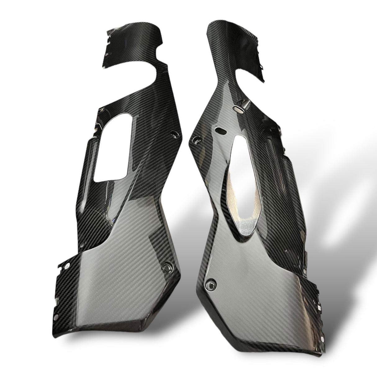 Front Fairing Carbon Belly Pen BMW S1000RR 2019-2024 K67