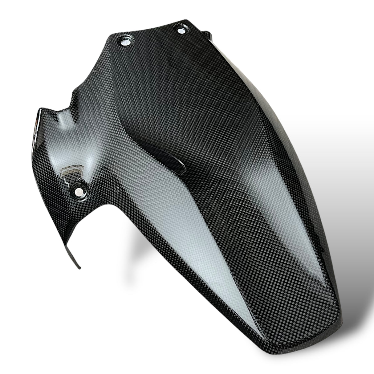 Hinterradabdeckung Carbon Ducati Panigale V2 1199 1299 Streetfighter V2