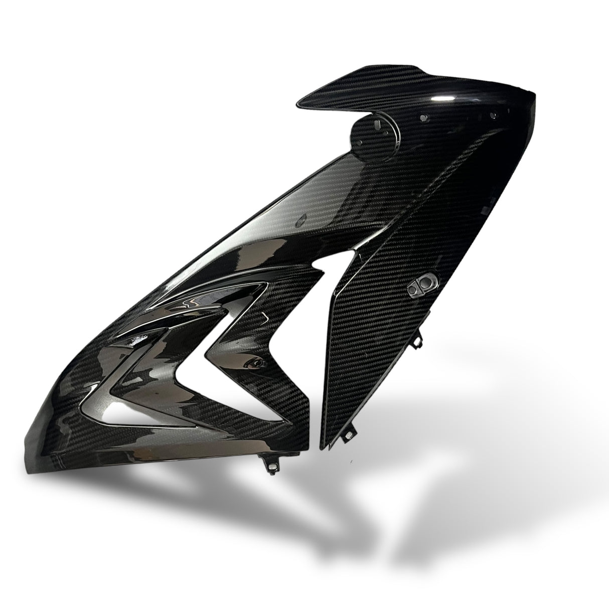 Side panel carbon BMW S1000RR M1000RR 2019-2022 Racing
