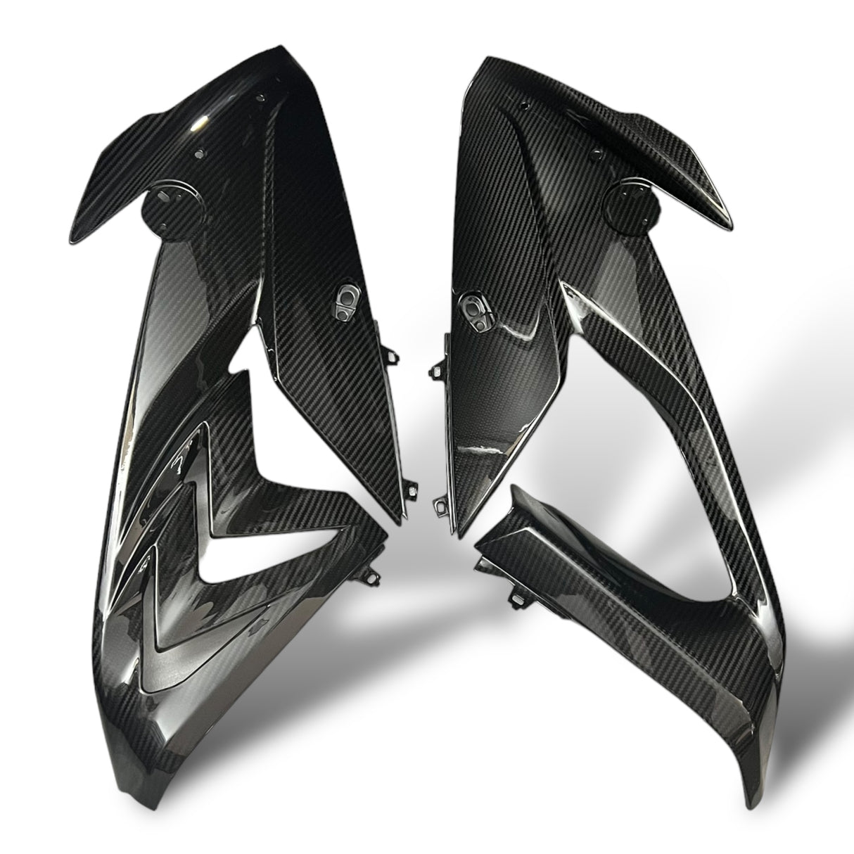 Side panel carbon BMW S1000RR M1000RR 2019-2022 Racing