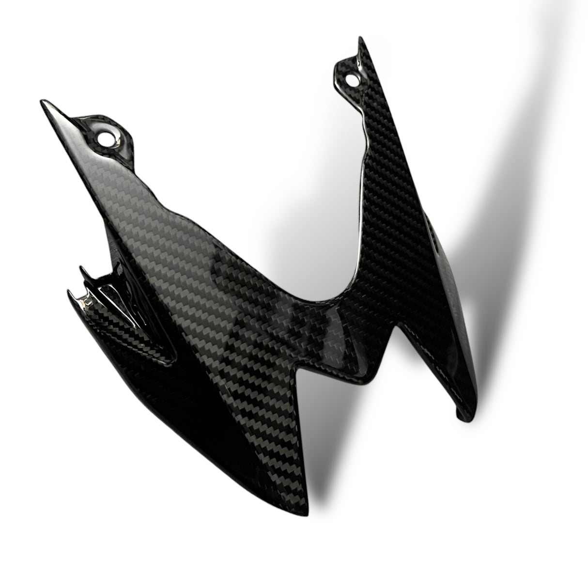 Fairing center section air intake carbon BMW S1000RR M1000RR 2019-2024