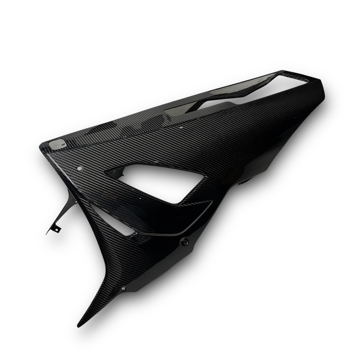 Bugverkleidung Bugspoiler Carbon Belly Pen BMW S1000RR 2019-2025 K67