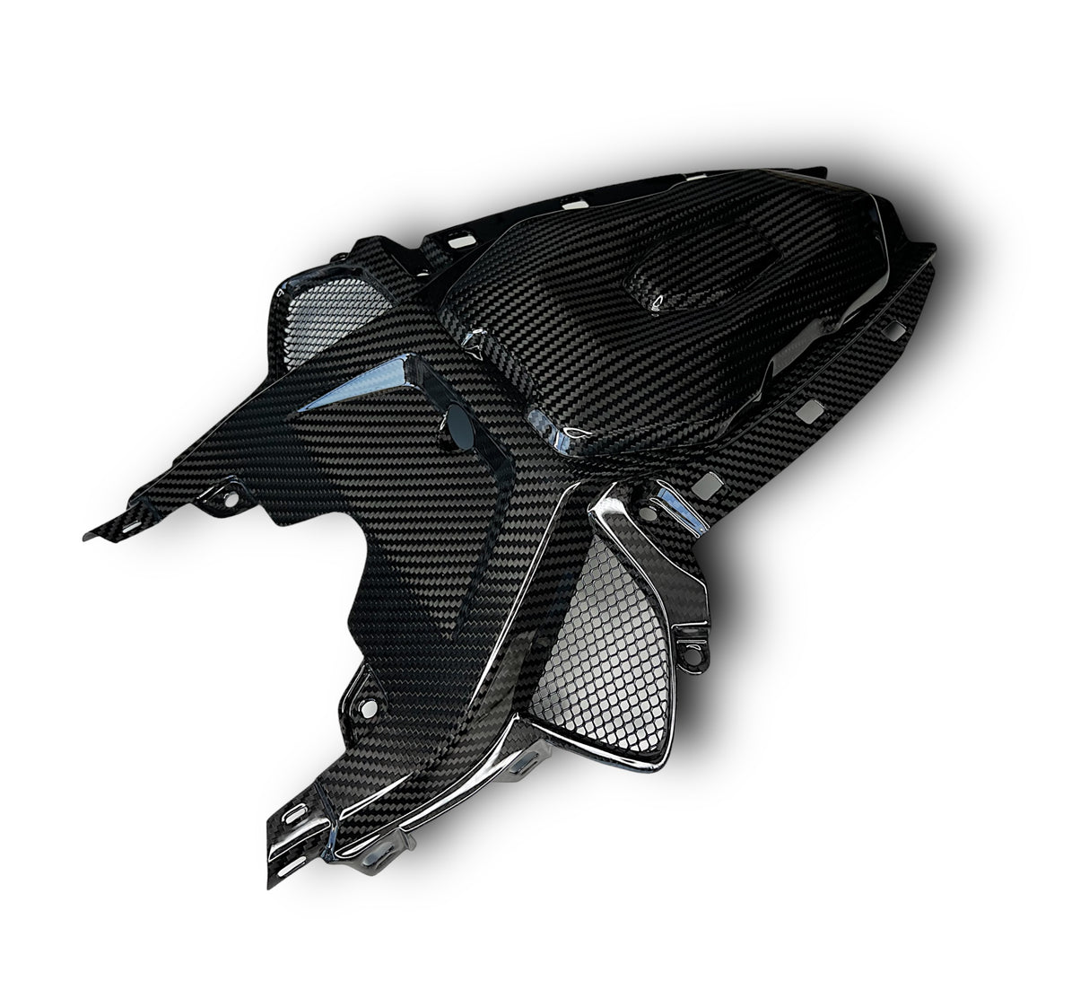 Rear Fairing Center Section / Tail Fairing Carbon BMW S1000RR M1000RR 2019-2022