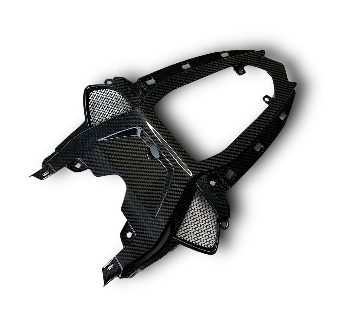 Rear Fairing Center Section / Tail Fairing Carbon BMW S1000RR M1000RR 2019-2022