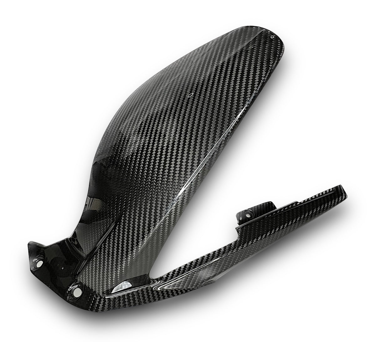 Rear wheel cover+chain guard Carbon Ducati Panigale V4 Streetfighter V4