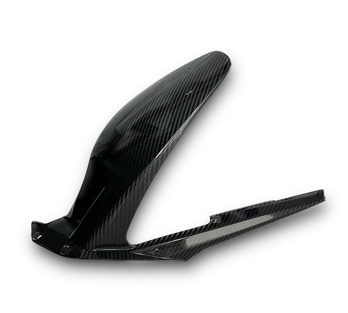 Rear wheel cover+chain guard Carbon Ducati Panigale V4 Streetfighter V4