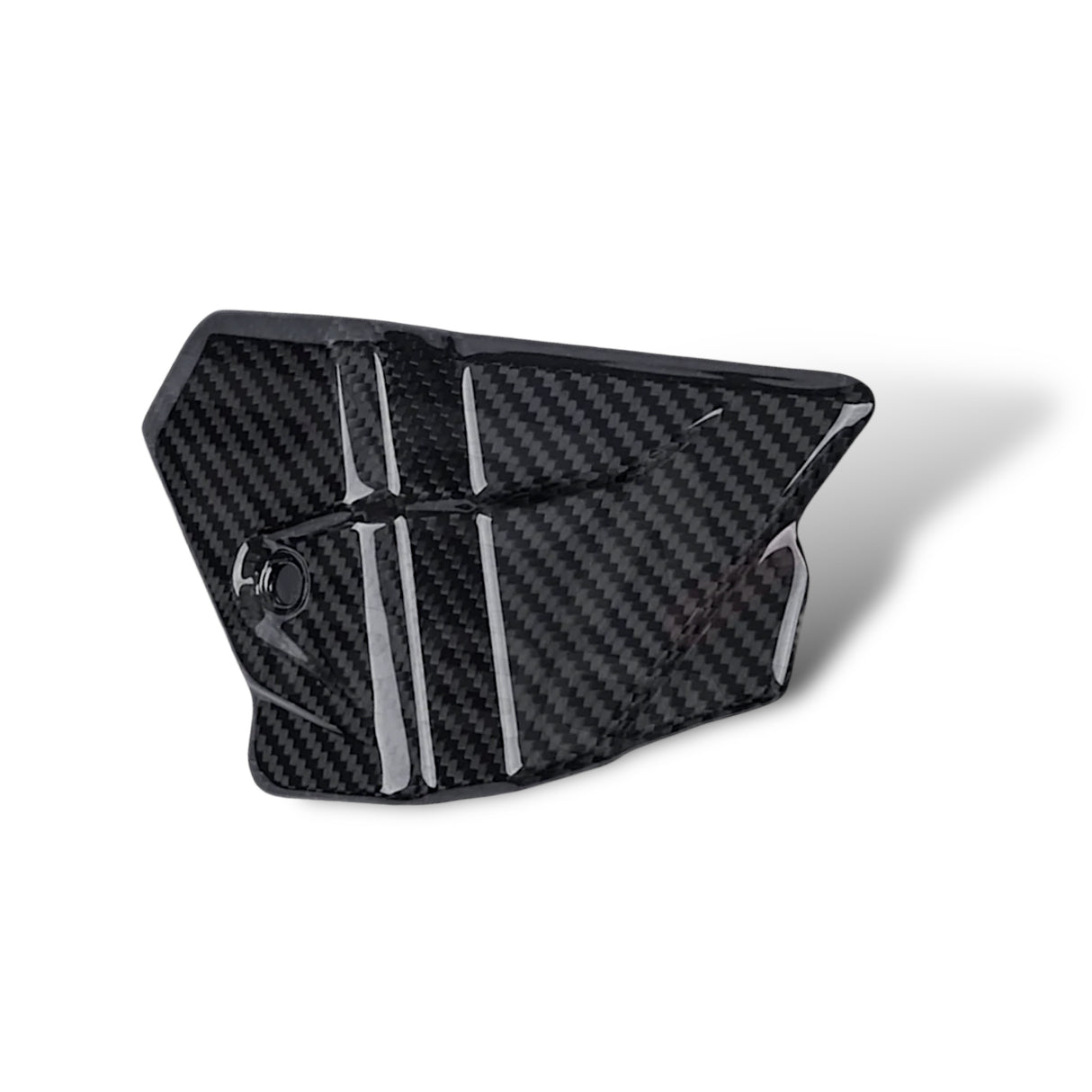 Kabelabdeckung Sprocket Cover Carbon BMW S1000RR M1000RR 2019+