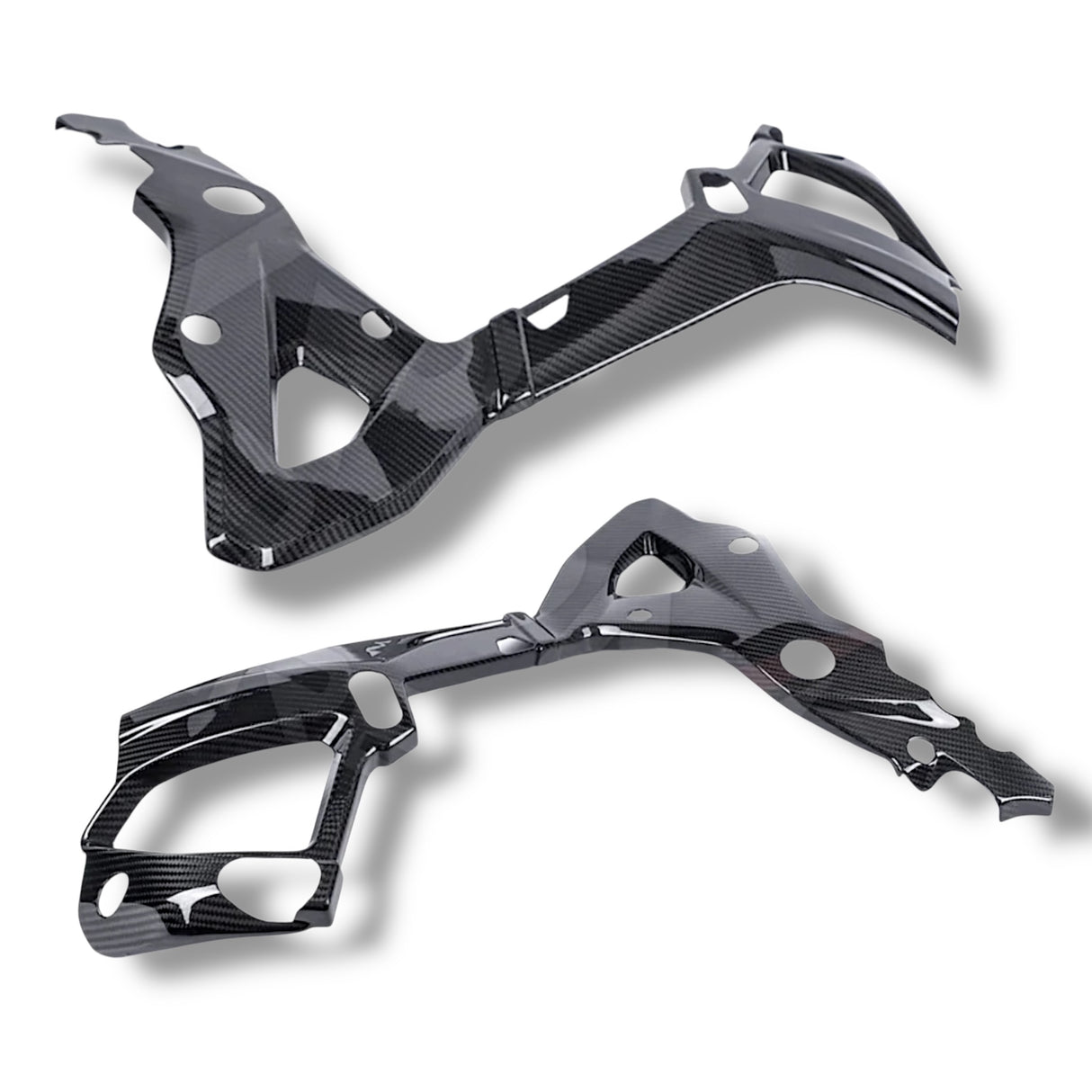 Swingarm protector Carbon BMW S1000RR M1000RR 2019-2024 / BMW S1000R 2021-2024
