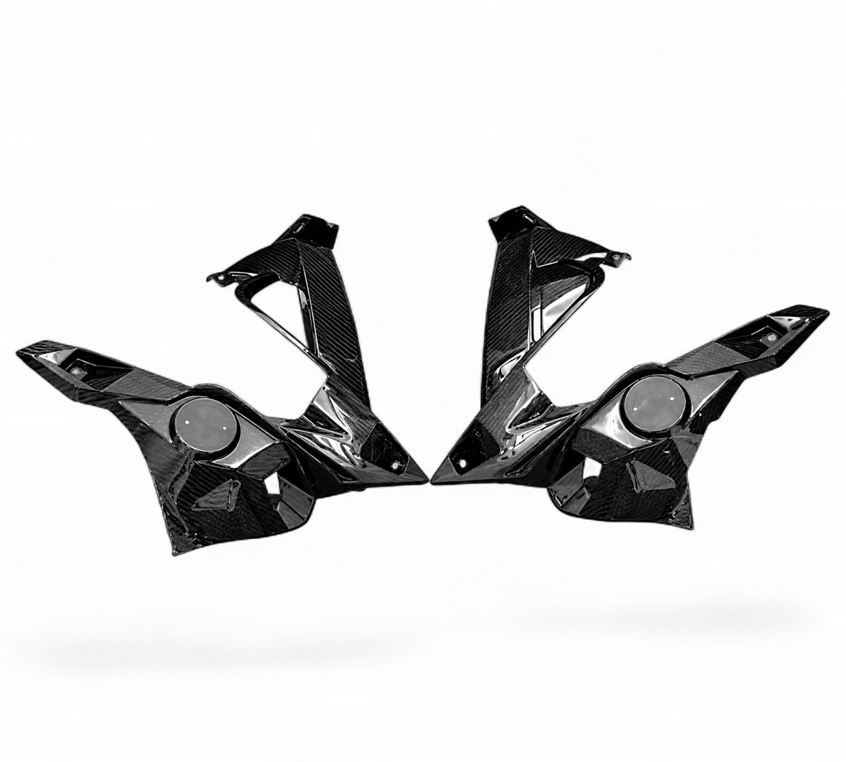 Seitenverkleidung Plakettenträger Carbon BMW S1000R 2014-2026