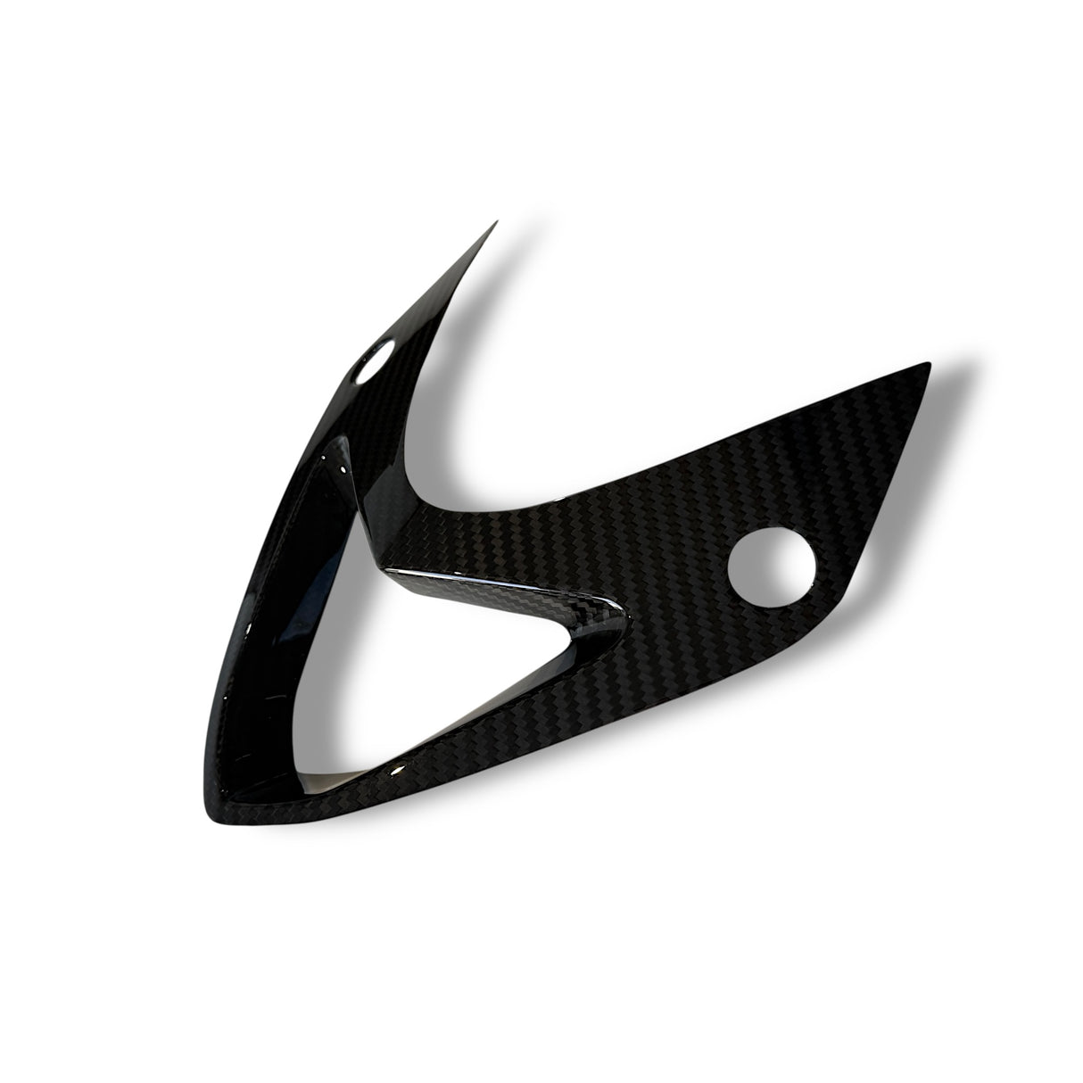 Windschild Cover Carbon BMW S1000RR 2009-2014