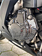 Motordeckelschutz Set Carbon BMW S1000RR S1000R Engine Protection Set