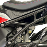 Heckrahmen Rahmenheck Carbon BMW S1000RR M1000RR S1000R M1000R 2019-2025