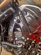 Rahmenschoner Carbon Paar BMW S1000RR M1000RR 2019-2025 K67 Pro Version