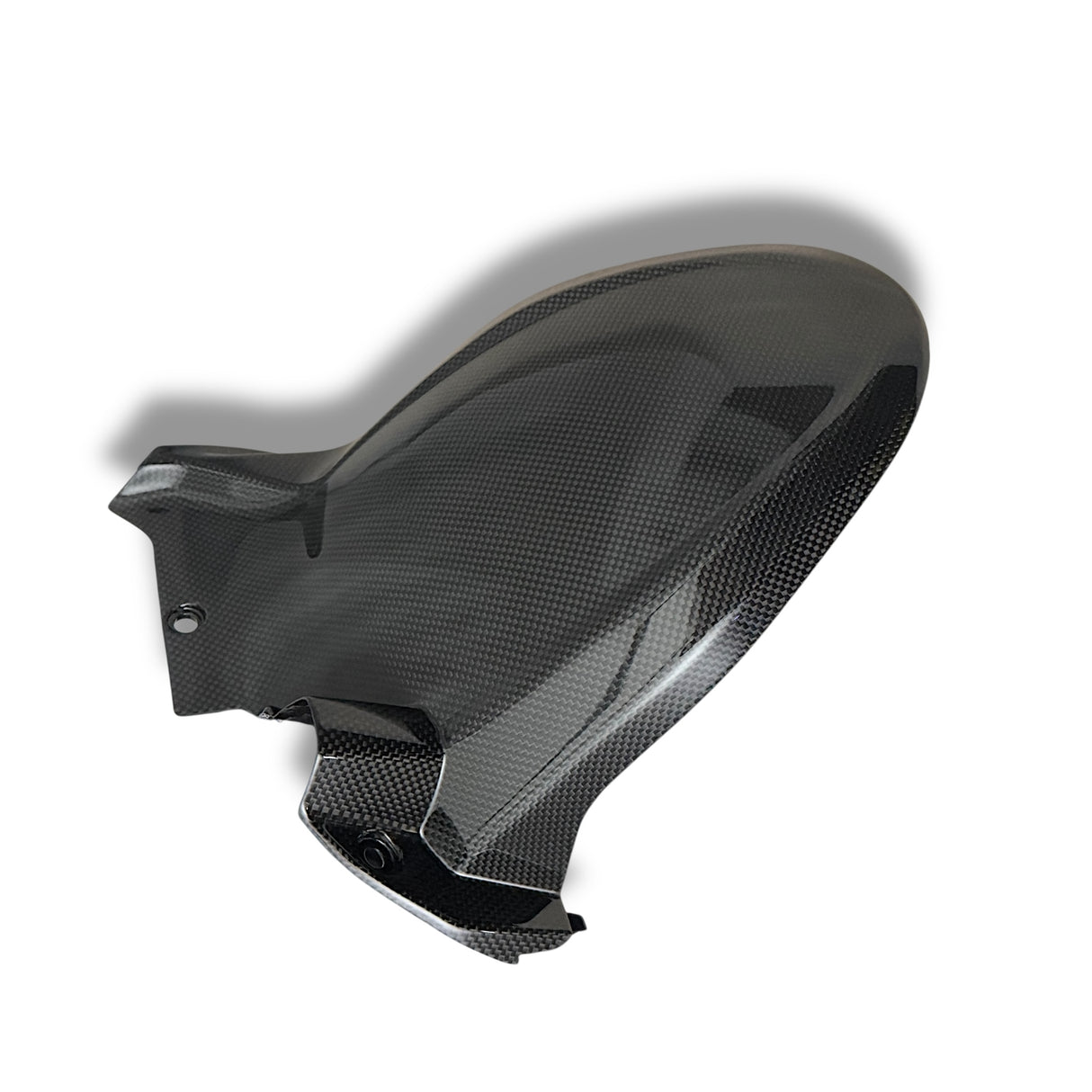 Hinterradabdeckung Carbon Ducati Multistrada V4