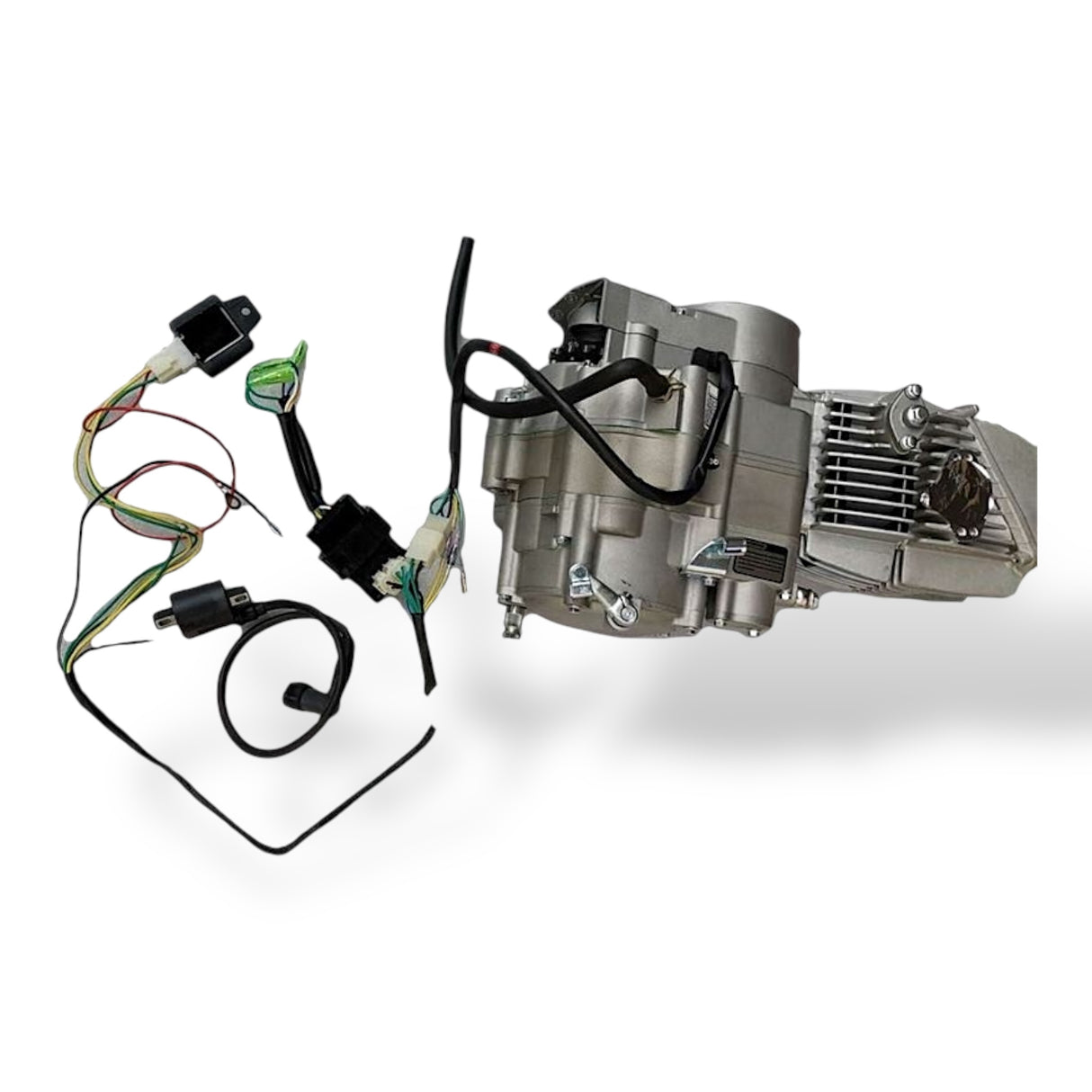 190 DAYTONA ANIMA 190cc 4 Ventiler 4 Gang oder 5 Gang