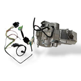 190 DAYTONA ANIMA 190cc 4 Ventiler 4 Gang oder 5 Gang