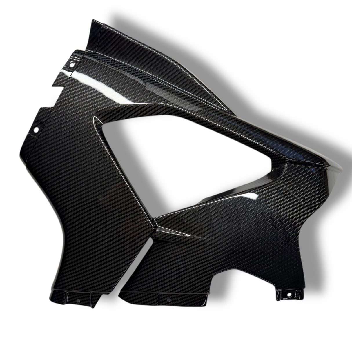 Rennverkleidung Verkleidungsseitenteil Seitenverkleidung Carbon BMW S1000RR M1000RR 2023+ Racing