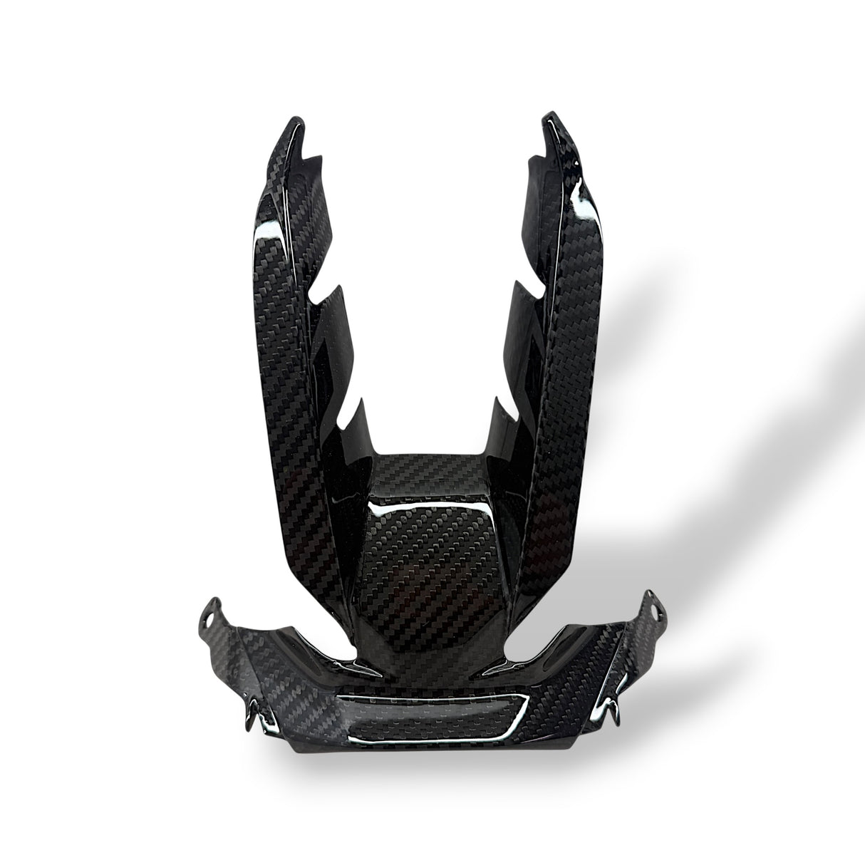 Verkleidungsmittelteil Frontverkleidung Lufteinlass Carbon BMW S1000RR 2025+