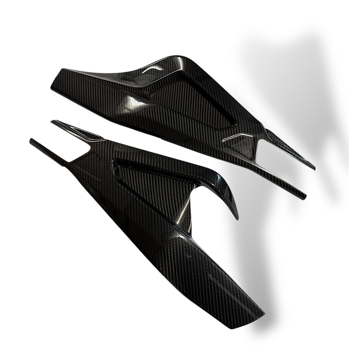 Swingarm protector Carbon BMW S1000RR M1000RR 2019-2024 / BMW S1000R 2021-2024