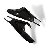 Swingarm protector Carbon BMW S1000RR M1000RR 2019-2024 / BMW S1000R 2021-2024