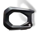 Schwingenschoner Carbon Ducati Panigale V4 Streetfighter V4 2025+ Links