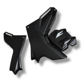 Seitenverkleidung in Zylinderkopfabdeckung Carbon Ducati Multistrada V4