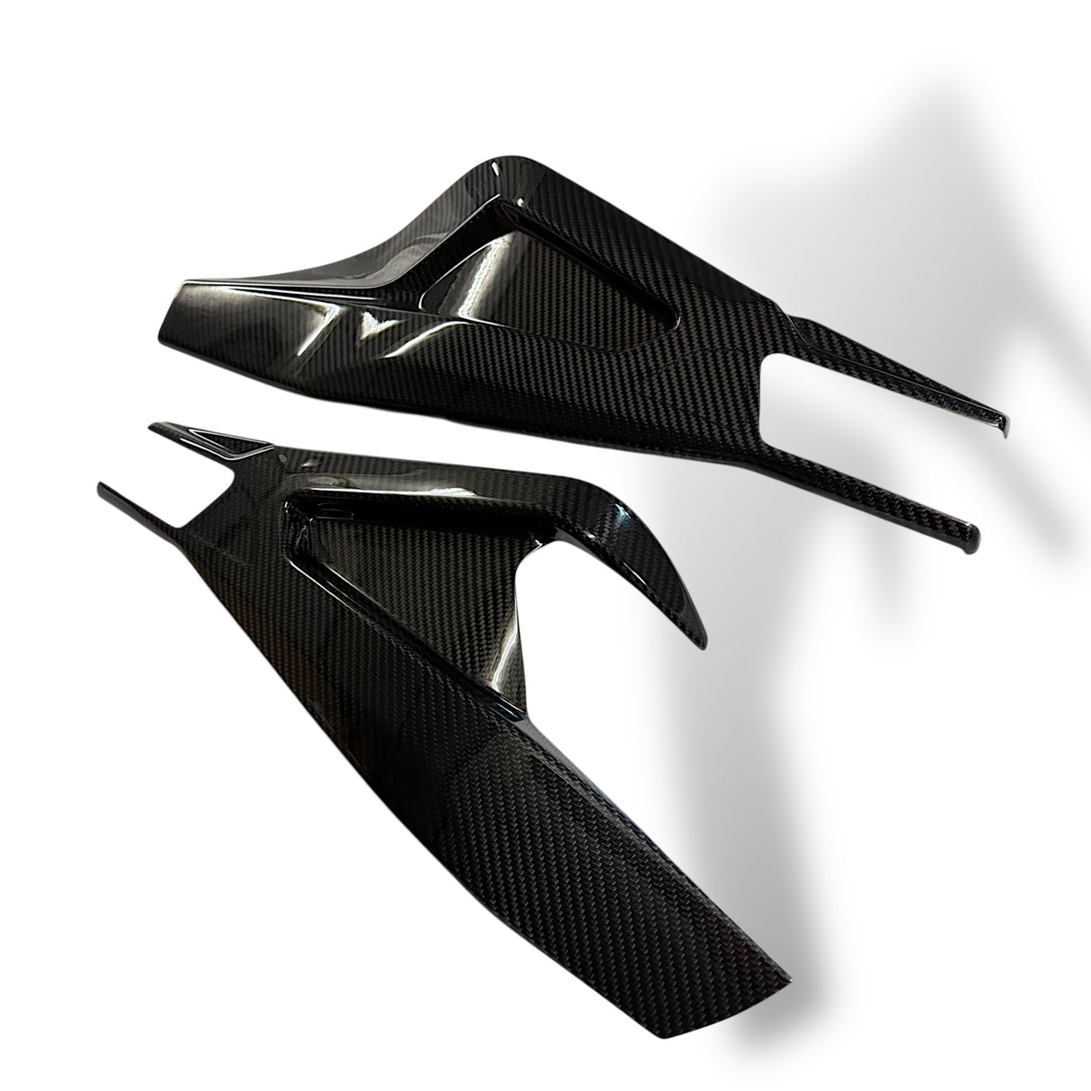 Swingarm protector Carbon BMW S1000RR M1000RR 2019-2024 / BMW S1000R 2021-2024