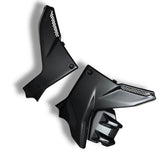 Seitenverkleidung in Zylinderkopfabdeckung Carbon Ducati Multistrada V4